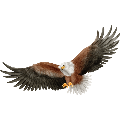 eagle